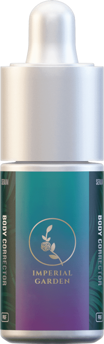 Body Corrector