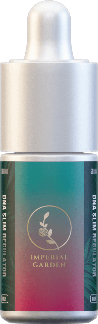 Dna Slim Regulator